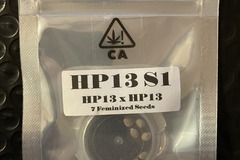Venta: HP13 S1 from CSI Humboldt