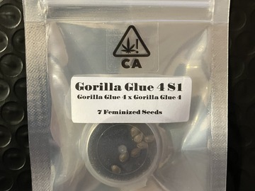 Vente: Gorilla Glue #4 S1 from CSI Humboldt