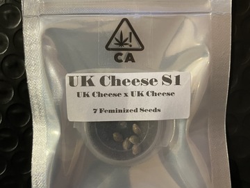 Vente: UK Cheese S1 from CSI Humboldt