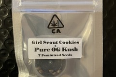Vente: Girl Scout Cookies x Pure OG Kush from CSI Humboldt