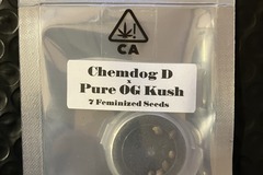 Vente: Chemdog D x Pure OG Kush from CSI Humboldt