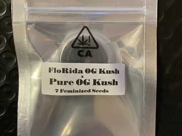 Sell: FloRida OG Kush x Pure OG Kush from CSI Humboldt