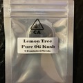 Venta: Lemon Tree x Pure OG Kush from CSI Humboldt