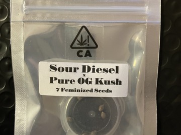 Vente: Sour Diesel x Pure OG Kush from CSI Humboldt