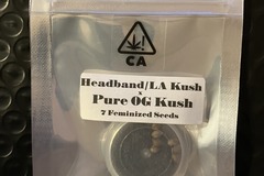 Vente: Headband/LA Kush x Pure OG Kush from CSI Humboldt