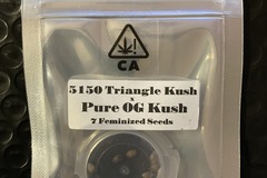 Vente: 5150 TK x Pure OG Kush from CSI Humboldt