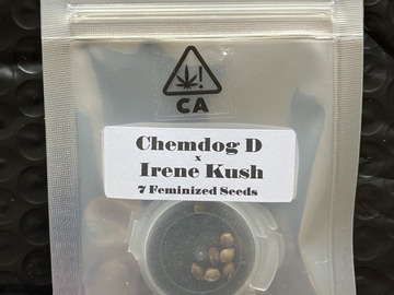 Vente: Chemdog D x Irene Kush from CSI Humboldt