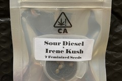 Vente: Sour Diesel x Irene Kush from CSI Humboldt