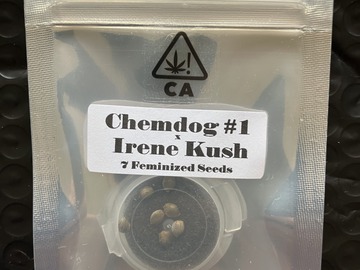 Vente: Chemdog #1 x Irene Kush from CSI Humboldt