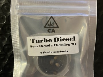 Sell: Turbo Diesel from CSI Humboldt