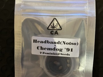 Sell: Headband (Notso) x Chemdog '91 from CSI Humboldt