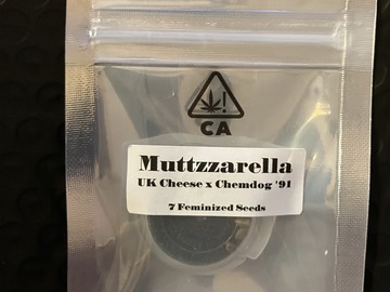 Vente: Muttzzarella from CSI Humboldt