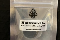 Sell: Muttzzarella from CSI Humboldt