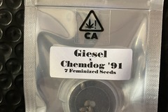 Venta: Giesel x Chemdog '91 from CSI Humboldt