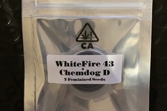 Venta: WhiteFire 43 x Chemdog D from CSI Humboldt