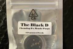 Sell: The Black D from CSI Humboldt