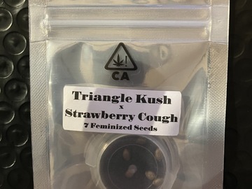 Vente: Triangle Kush x Strawberry Cough from CSI Humboldt