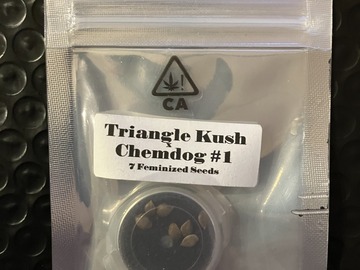 Vente: Triangle Kush x Chemdog #1 from CSI Humboldt