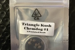 Sell: Triangle Kush x Chemdog #1 from CSI Humboldt