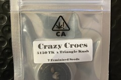 Sell: Crazy Crocs from CSI Humboldt