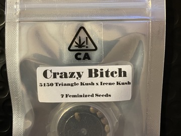 Sell: Crazy Bitch from CSI Humboldt