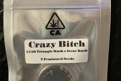 Vente: Crazy Bitch from CSI Humboldt