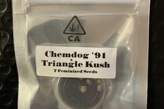 Sell: Chemdog '91 x Triangle Kush from CSI Humboldt