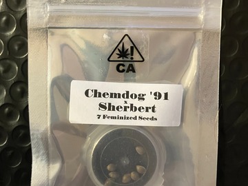Vente: Chemdog '91 x Sherbert from CSI Humboldt