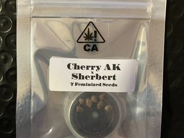 Vente: Cherry AK x Sherbert from CSI Humboldt