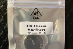 Vente: UK Cheese x Sherbert from CSI Humboldt
