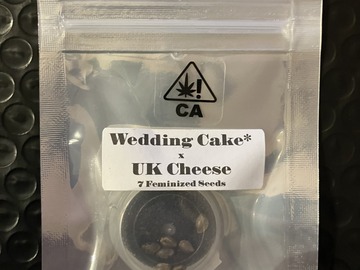 Vente: Wedding Cake x UK Cheese from CSI Humboldt