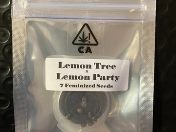 Vente: Lemon Tree x Lemon Party from CSI Humboldt