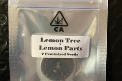 Sell: Lemon Tree x Lemon Party from CSI Humboldt