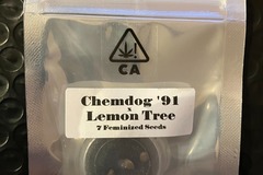 Vente: Chemdog '91 x Lemon Tree from CSI Humboldt