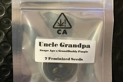 Vente: Uncle Grandpa from CSI Humboldt