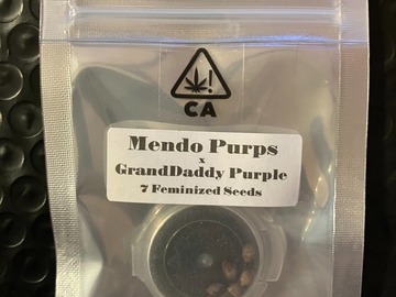Venta: Mendo Purps x GrandDaddy Purple from CSI Humboldt