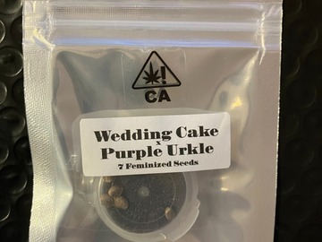 Sell: Wedding Cake x Purple Urkle from CSI Humboldt