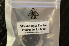 Vente: Wedding Cake x Purple Urkle from CSI Humboldt