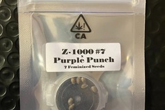 Sell: Z-1000 #7 x Purple Punch from CSI Humboldt