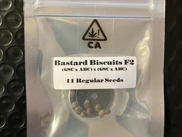 Vente: Bastard Biscuits F2 from CSI Humboldt