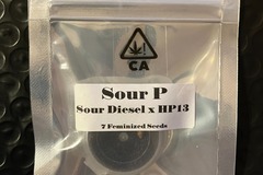 Vente: Sour Diesel x HP13 from CSI Humboldt