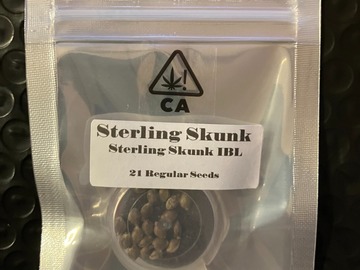 Sell: Sterling Skunk IBL from CSI Humboldt