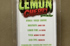 Vente: Lemon Cherry Gelato from Tiki Madman