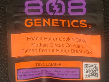 Auction: Peanut Butter Cookie Cake - 808 Genetics