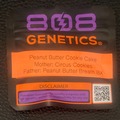 Vente: Peanut Butter Cookie Cake - 808 Genetics