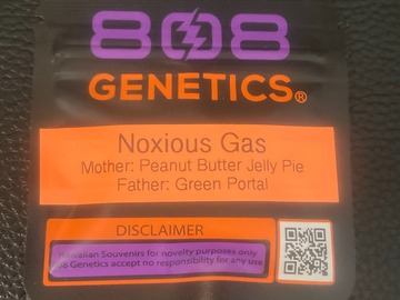 Enchères: Noxious Gas - 808 Genetics
