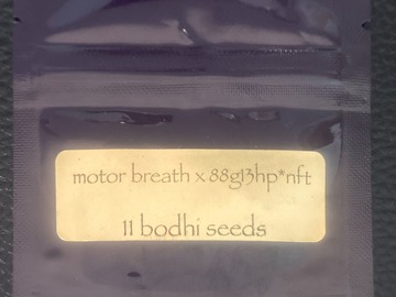 Venta: Motorbreath 15 x 88G13HP - Bodhi Seeds