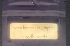 Venta: Motorbreath 15 x 88G13HP - Bodhi Seeds