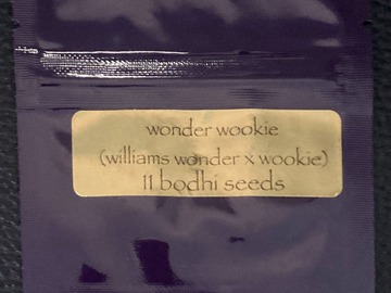 Sell: Wonder Wookie (Williams Wonder x Wookie 15) - Bodhi Seeds