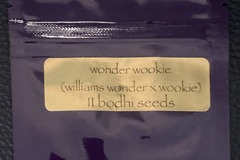 Venta: Wonder Wookie (Williams Wonder x Wookie 15) - Bodhi Seeds